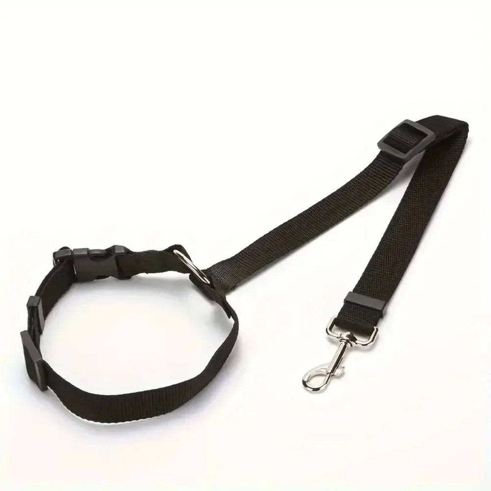 Ceinture de sécurité pour animaux de compagnie réglable