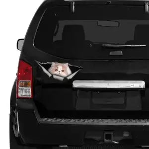 Funny Cat Decal – 3D Peeking Cat Sticker