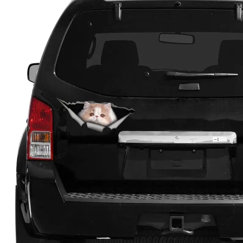 Funny Cat Decal – 3D Peeking Cat Sticker