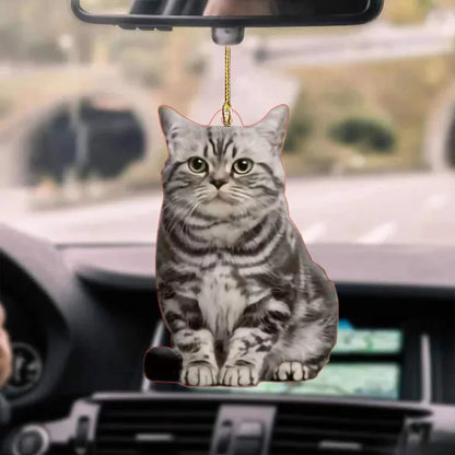 Ornamento appeso per auto e auto da gatto decorativo 2D