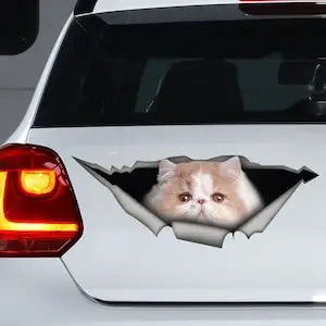 Decal de chat drôle - Autocollant de chat 3D Peeking